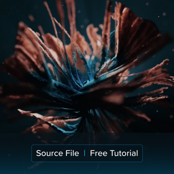 Abstract Particles