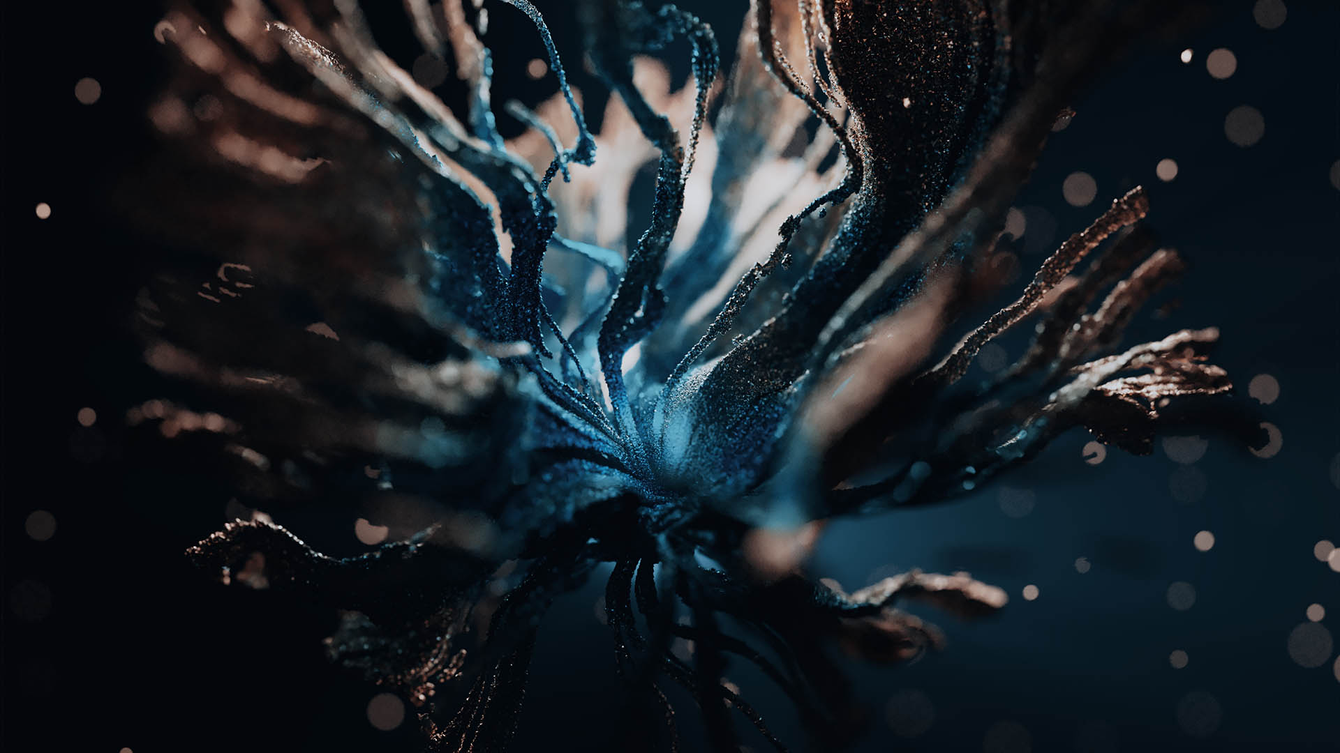 Abstract Particles